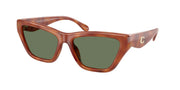 Coach HC8449U Caramel Tortoise Sunglasses