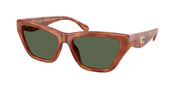 Coach HC8449U Caramel Tortoise Sunglasses