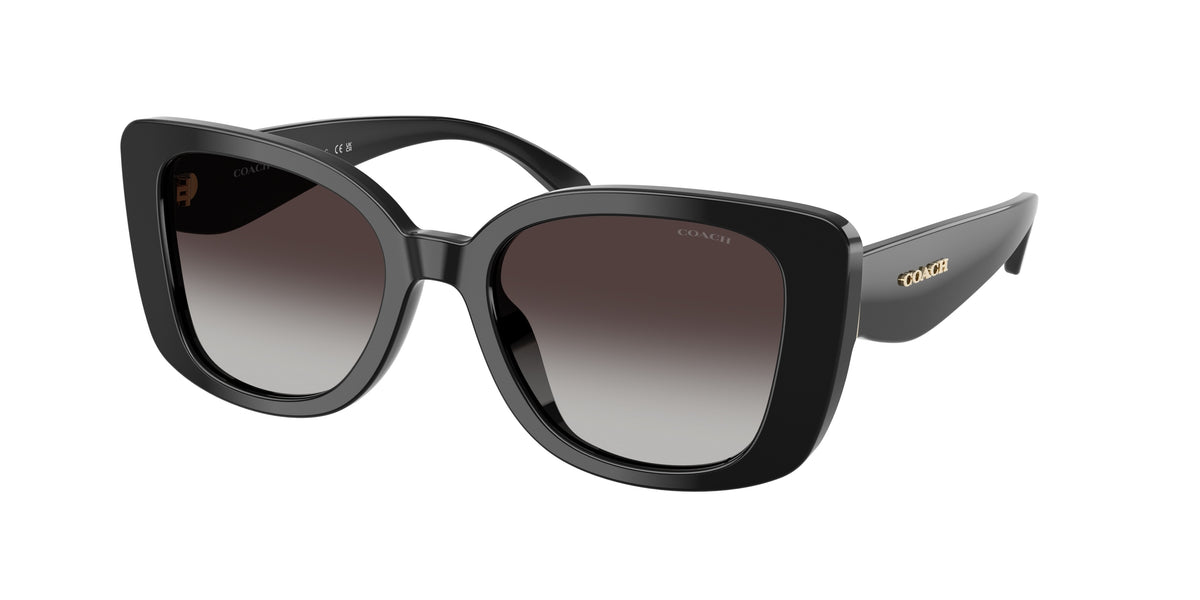 Coach HC8450U Black Sunglasses