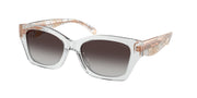 Coach HC8451U Transparent Grey Sunglasses