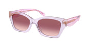 Coach HC8451U Transparent Iris Sunglasses