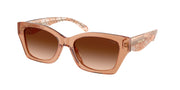 Coach HC8451U Transparent Brown Sunglasses
