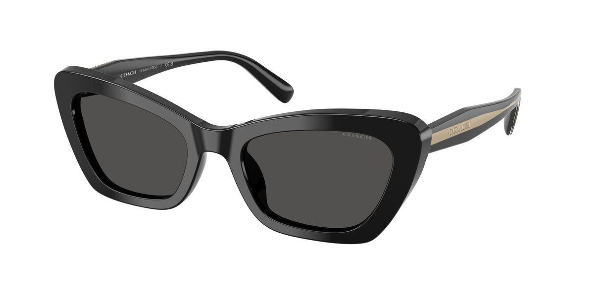 Coach HC8452U Black Sunglasses