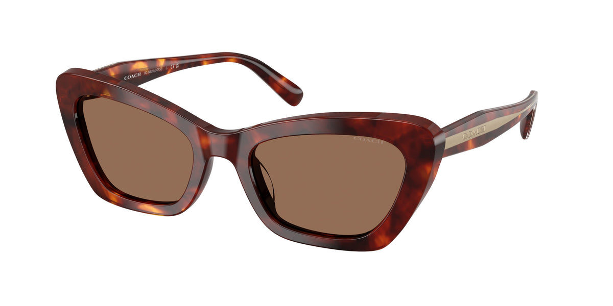 Coach HC8452U Walnut Tortoise Sunglasses