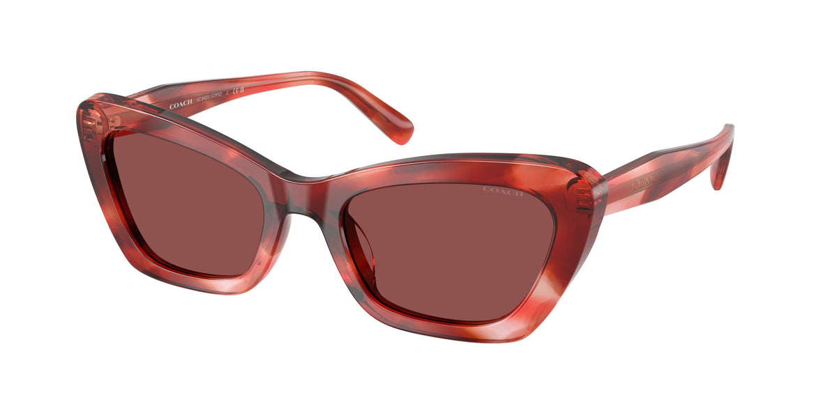 Coach HC8452U Cherry Tortoise Sunglasses