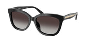 Coach HC8453U Black Sunglasses