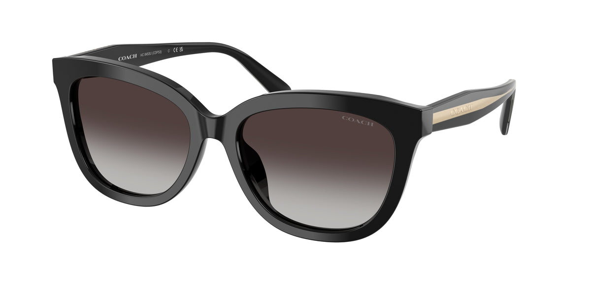 Coach HC8453U Black Sunglasses