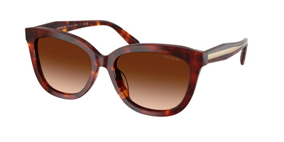 Coach HC8453U Sunglasses