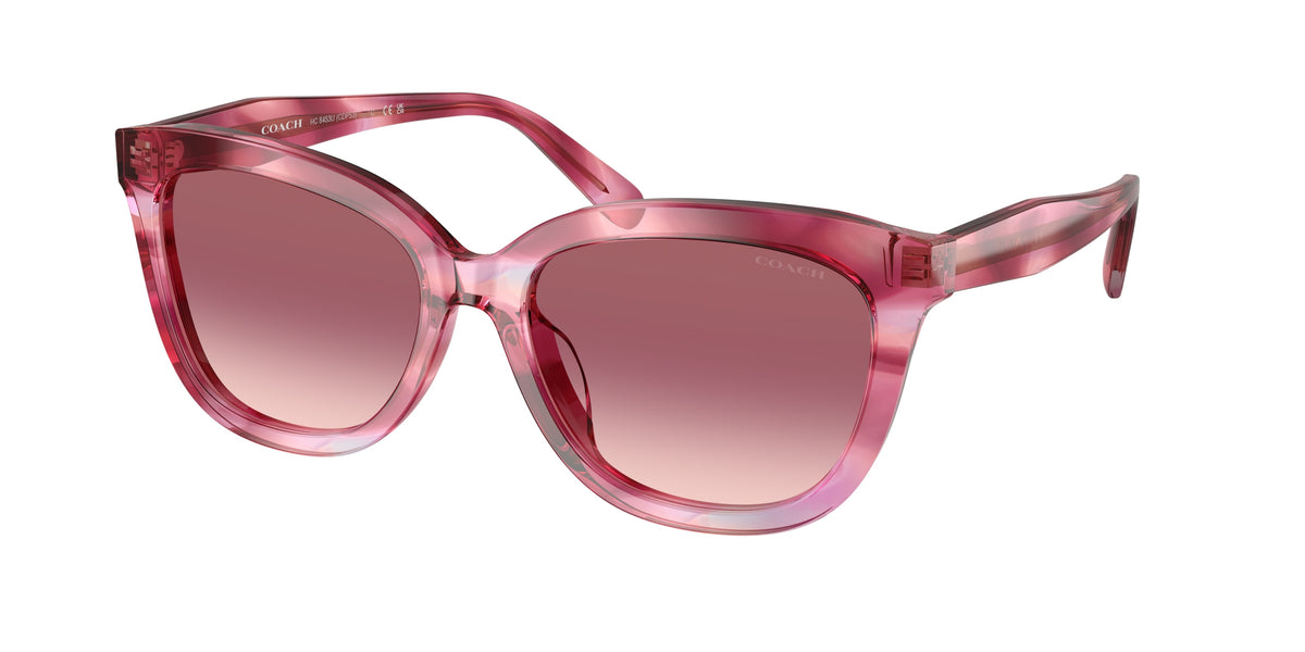 Coach HC8453U Purple Cosmo Tortoise Sunglasses