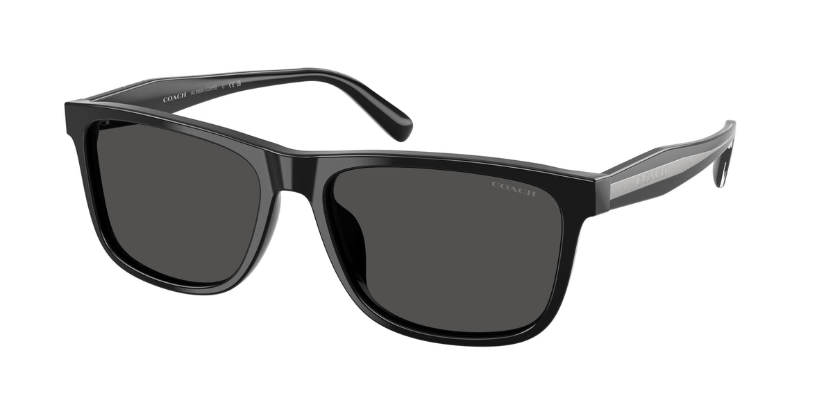 Coach HC8454U Black Sunglasses