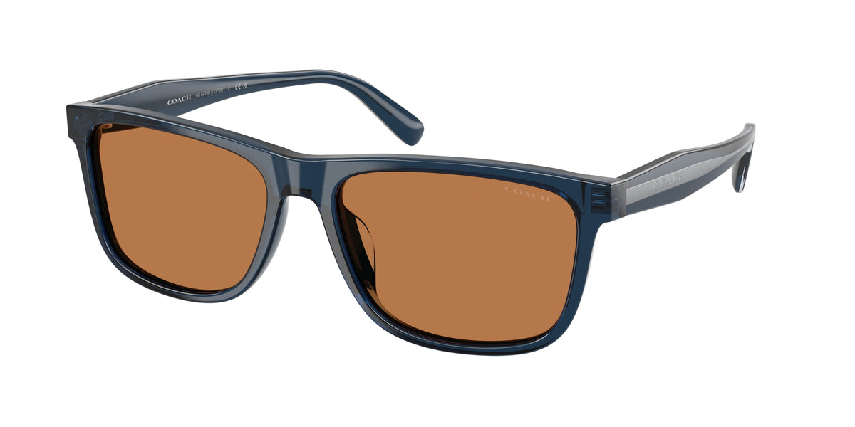 Coach HC8454U Transparent Dark Blue Sunglasses