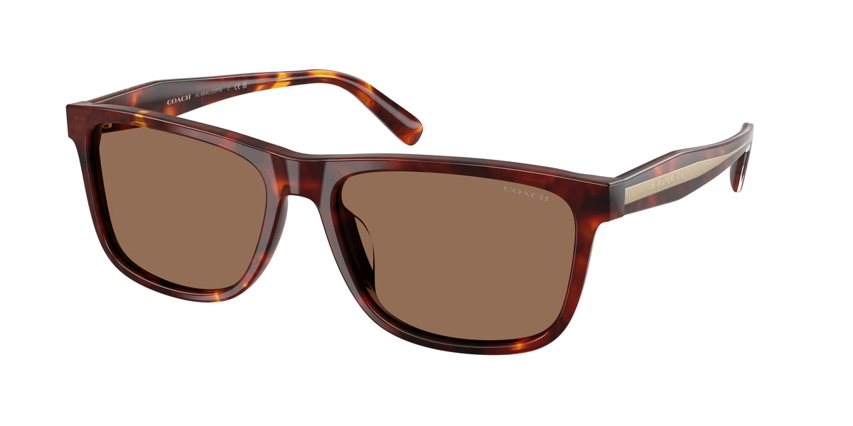 Coach HC8454U Walnut Tortoise Sunglasses