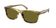 Coach HC8454U Striated Olive Sunglasses