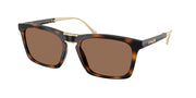 Coach HC8455 Dark Tortoise Sunglasses