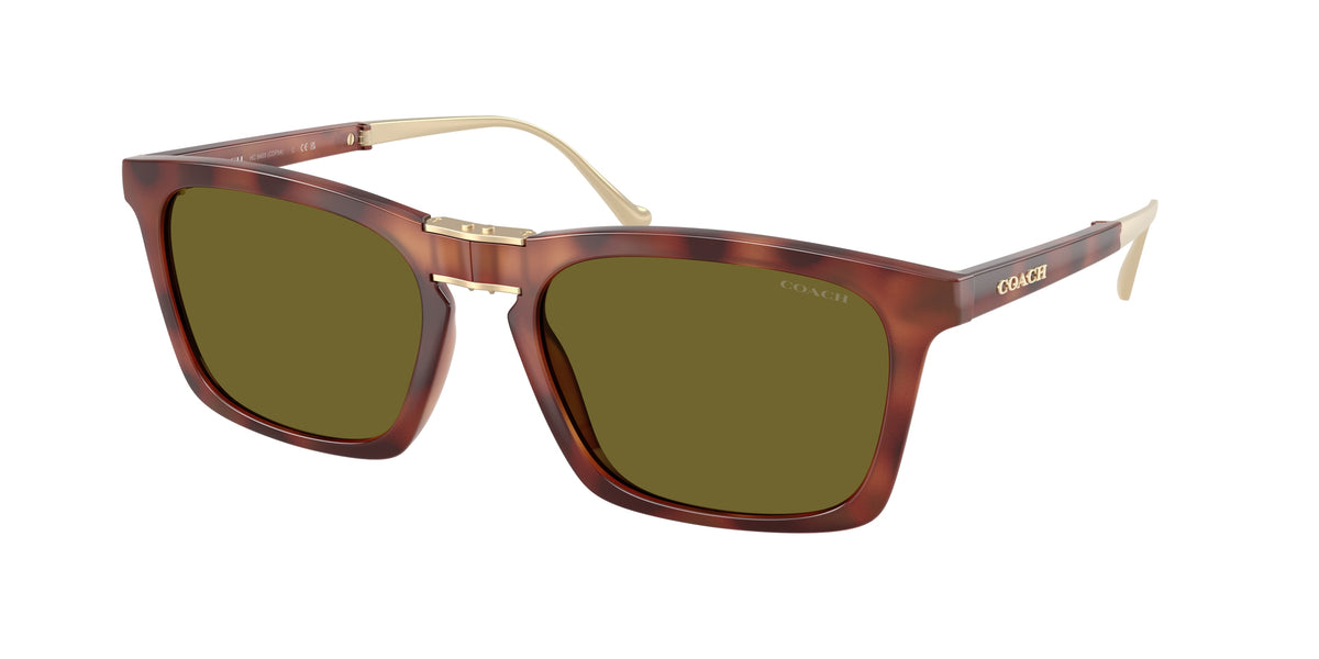 Coach HC8455 Caramel Tortoise Sunglasses