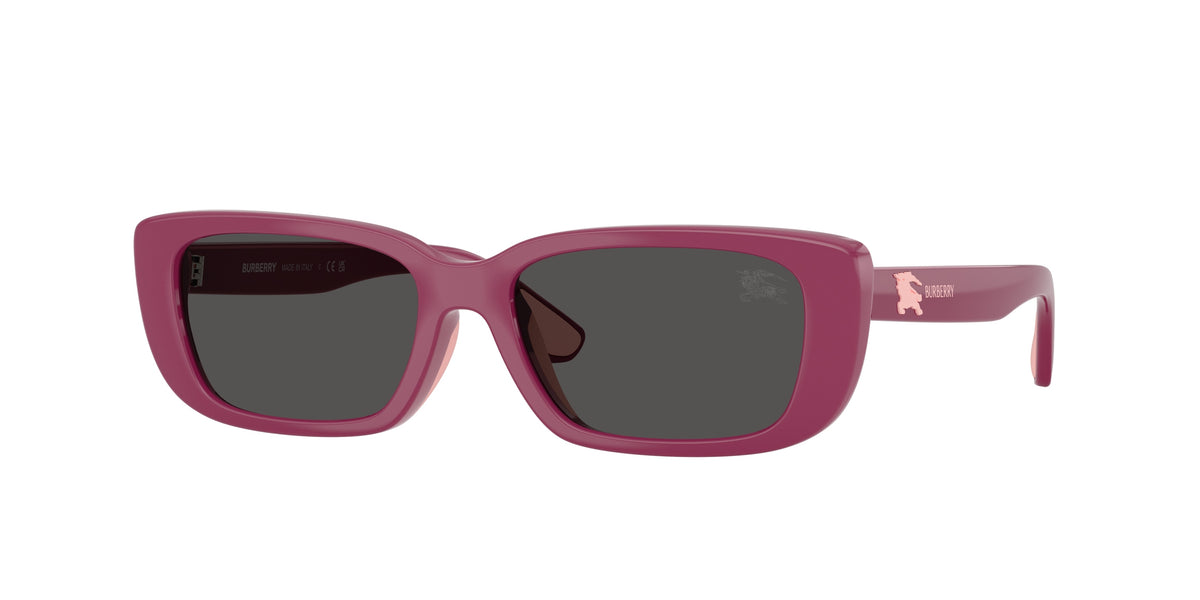 Burberry JB4006U Violet Sunglasses Kids