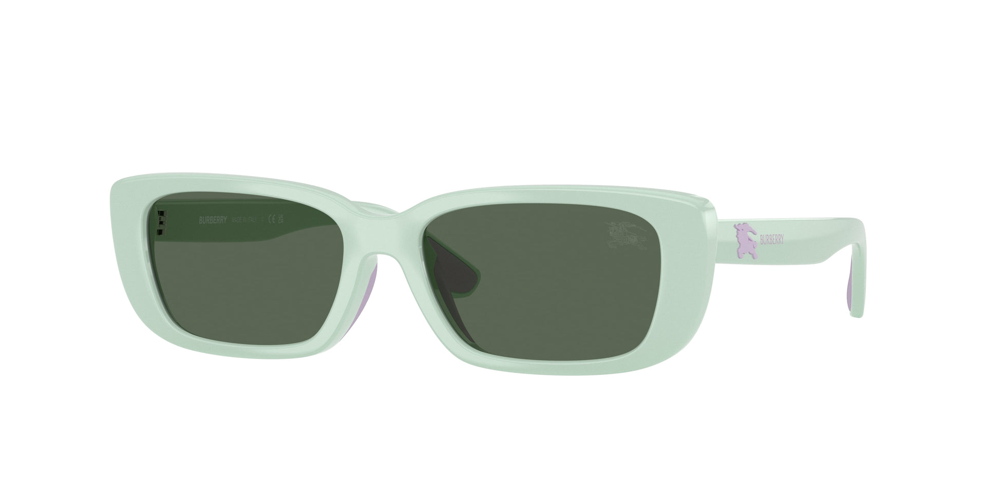 Burberry JB4006U Green Sunglasses Kids