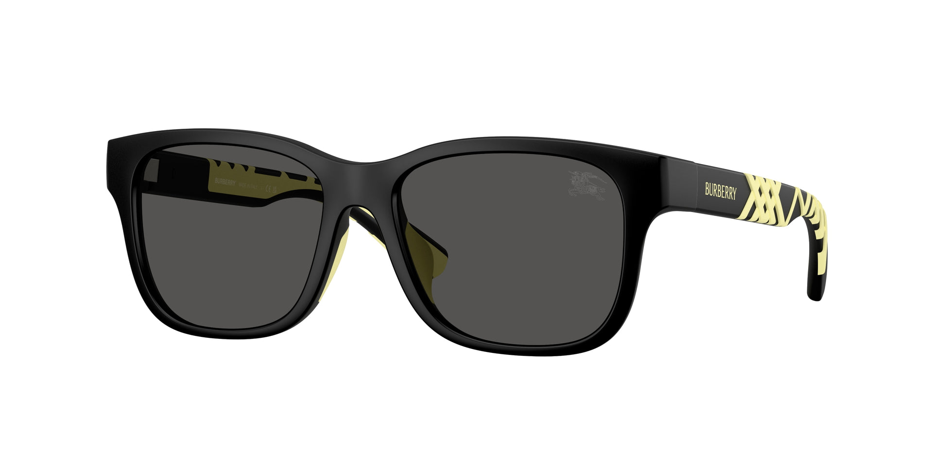 Burberry JB4007U Matte Black Sunglasses Kids