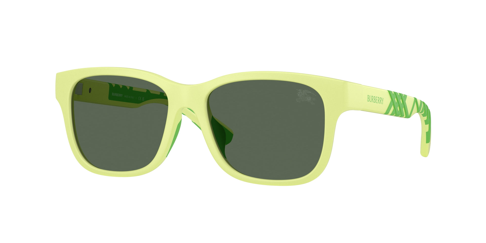 Burberry JB4007U Green Sunglasses Kids