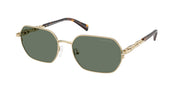Michael Kors MK1165 Light Gold Shiny Sunglasses