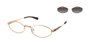 Michael Kors MK1175 Beige Gold Sunglasses