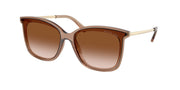 Michael Kors MK2079U Brown Transparent Sunglasses
