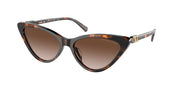 Michael Kors MK2195U Dark Tortoise Sunglasses