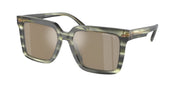 Michael Kors MK2217U Olive Horn Sunglasses
