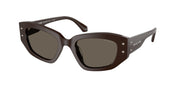 Michael Kors MK2234B Chocolate Sunglasses