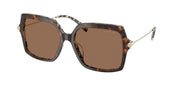 Michael Kors MK2247U Dark/Cream Tortoise Sunglasses