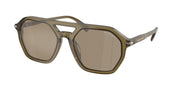 Michael Kors MK2251U Olive Transparent Sunglasses
