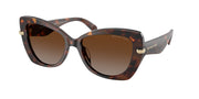 Michael Kors MK2258U Luggage Tortoise Sunglasses