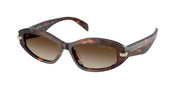 Michael Kors MK2260D Luggage Tortoise Sunglasses