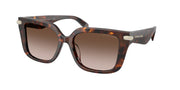 Michael Kors MK2275BU Luggage Tortoise Sunglasses