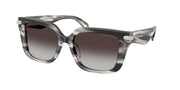 Michael Kors MK2275BU Black Horn Sunglasses
