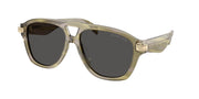 Michael Kors MK2277U Olive Horn Sunglasses
