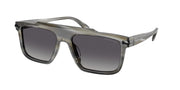 Michael Kors MK2278U Horn Sunglasses