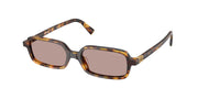 Miu Miu MU 11ZSF Havana Honey Sunglasses