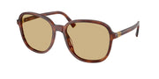 Miu Miu MU B01SF Striped Tobacco Sunglasses