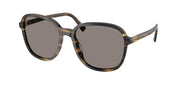 Miu Miu MU B01S Striped Loden Sunglasses