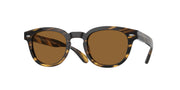 Oliver Peoples OV5036SF Cocobolo Sunglasses