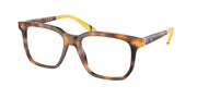 Polo Ralph Lauren PH2269 Shiny Red Havana Eyeglasses