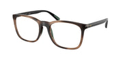 Polo Ralph Lauren PH2281U Shiny Dark Havana Eyeglasses