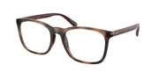 Polo Ralph Lauren PH2281U Shiny Dark Havana Eyeglasses