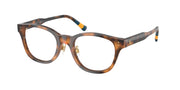 Polo Ralph Lauren PH2303F Shiny Dark Havana Eyeglasses
