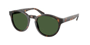 Polo Ralph Lauren PH4192 Shiny Dark Havana Sunglasses