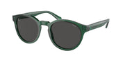 Polo Ralph Lauren PH4192 Shiny Transparent Green Sunglasses