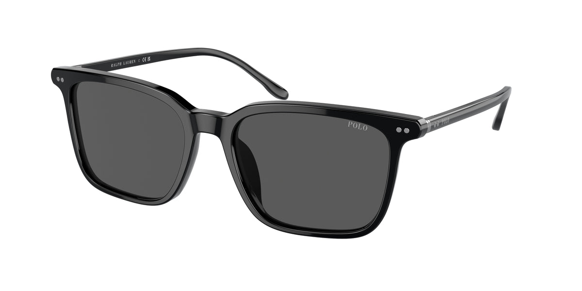 Polo Ralph Lauren PH4194U Shiny Black Sunglasses