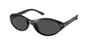 Polo Ralph Lauren PH4197U Matte Black Sunglasses