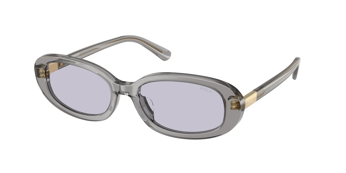 Polo Ralph Lauren PH4198U Shiny Transparent Dark Grey Sunglasses